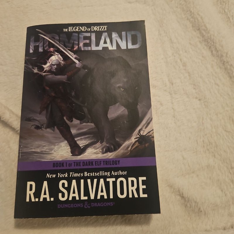 Homeland: Dungeons and Dragons