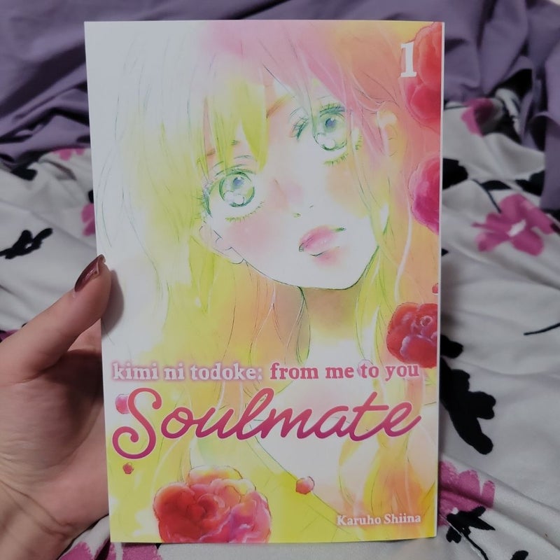 Kimi ni Todoke: from Me to You: Soulmate, Vol. 1