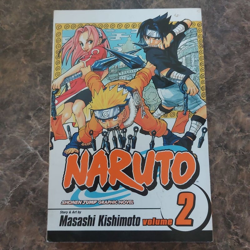 Naruto, Vol. 2