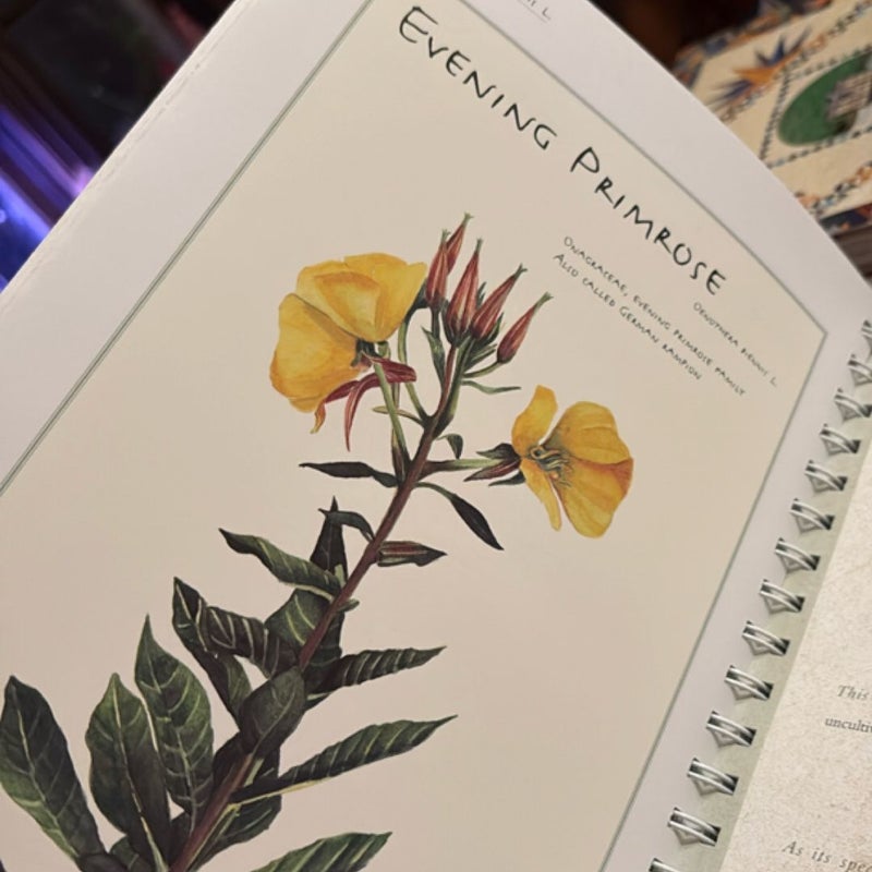 A Notebook of Flowers