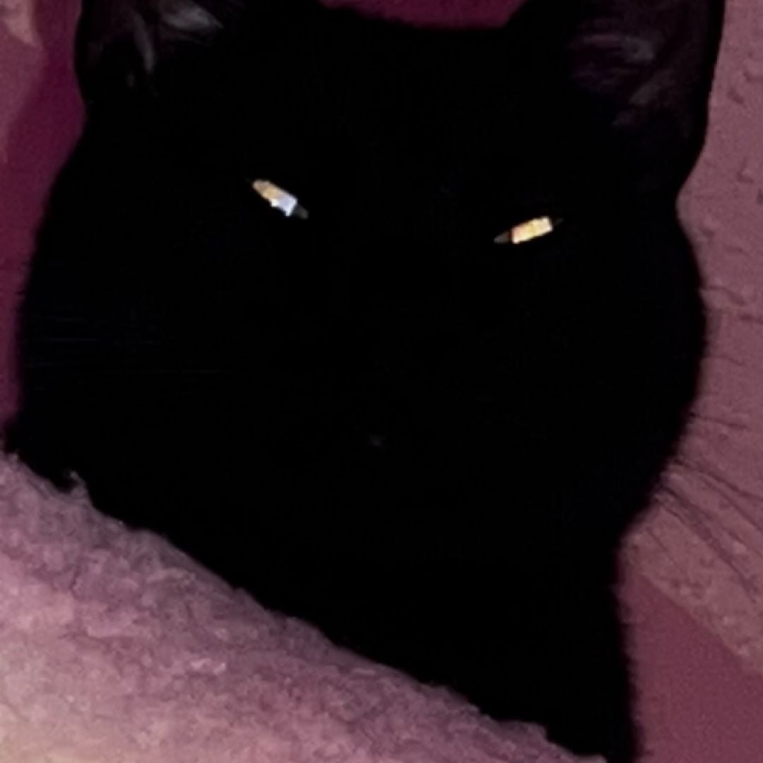 Bean
