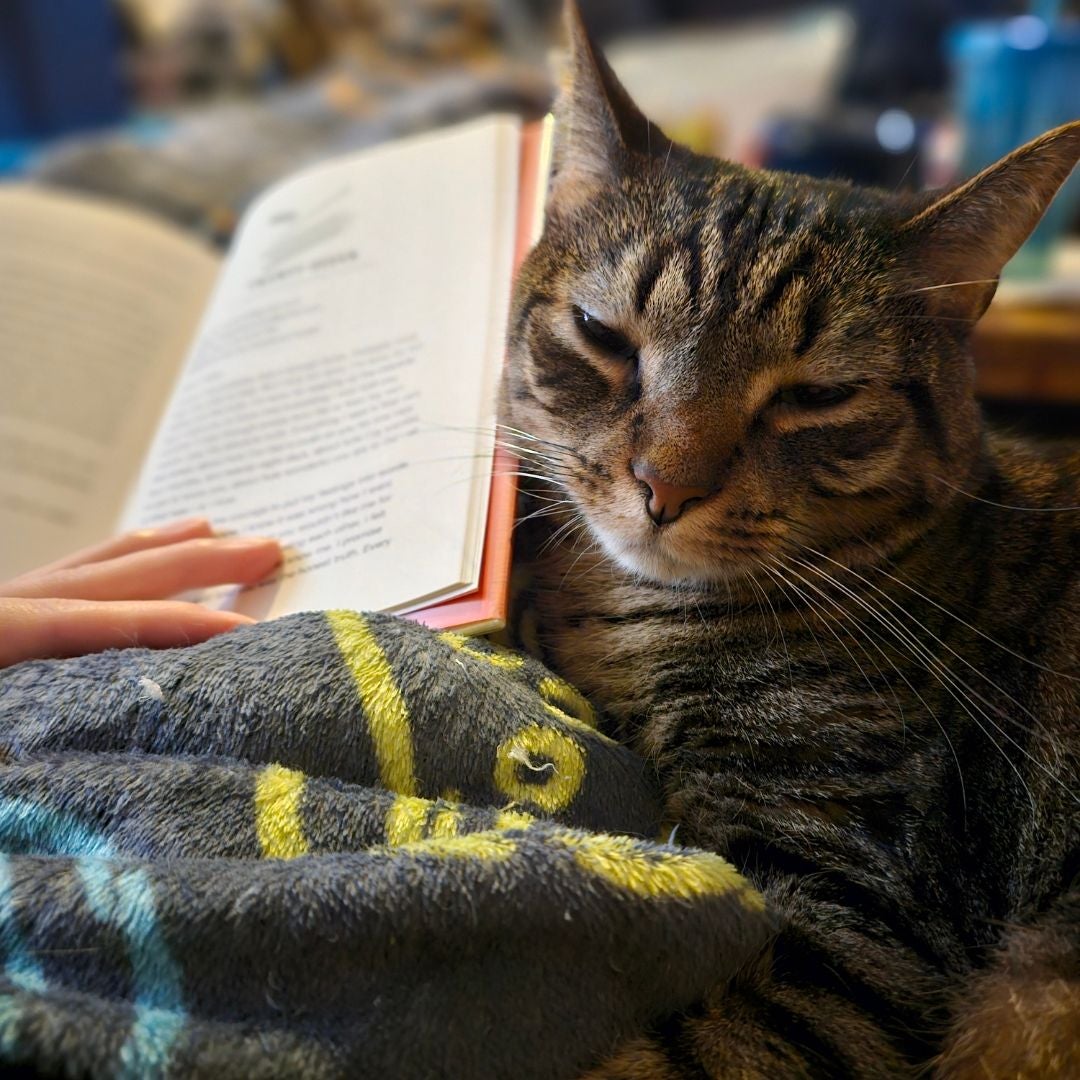Childless Cat Lady's Books