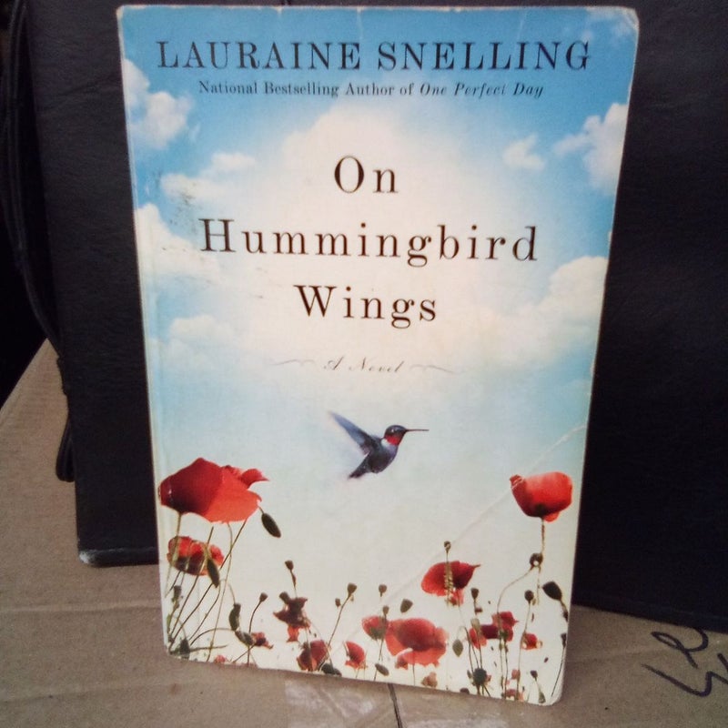 On Hummingbird Wings