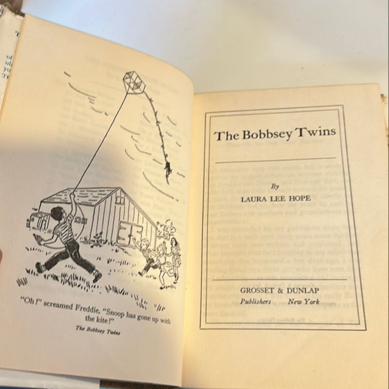 The Bobbsey Twins