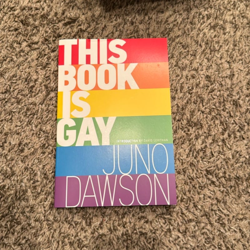 This Book Is Gay