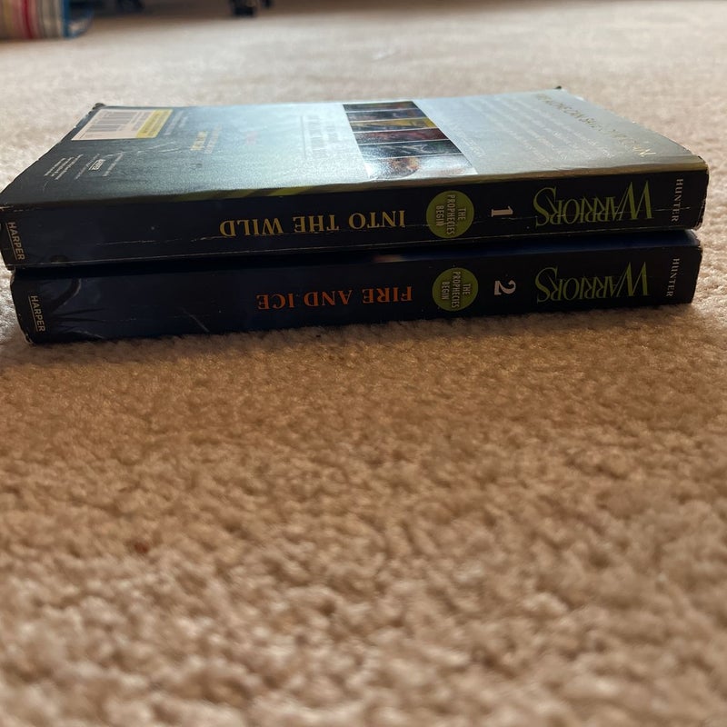 Warrior cats The prophecies begin book 1 and 3