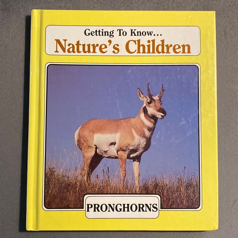 Getting To Know Nature’s Children : Pronghorns & Seals