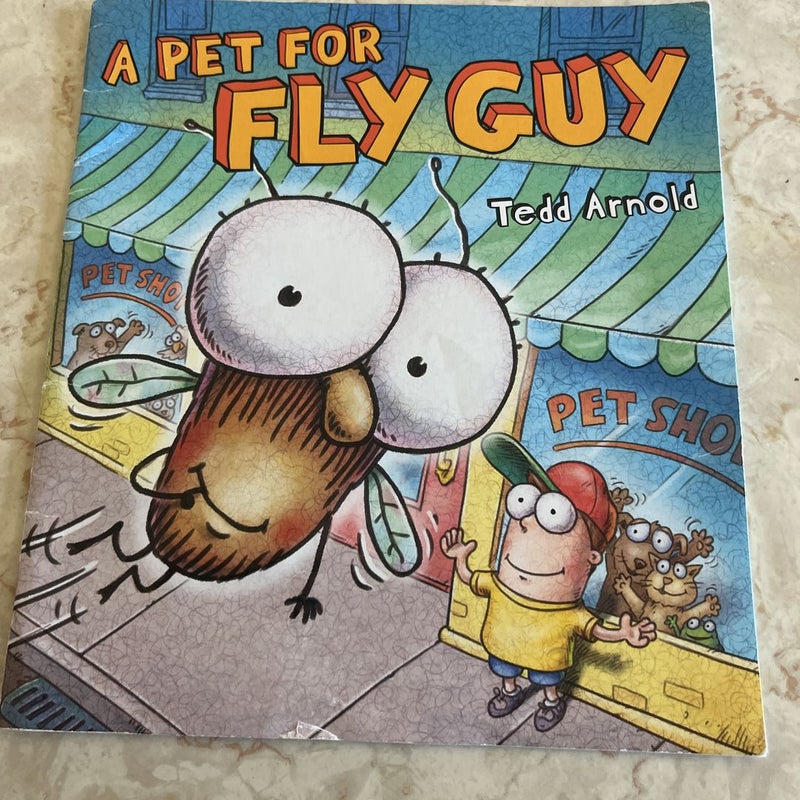 Fly Guy bundle of 2 books 