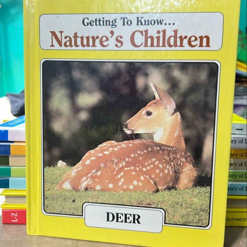 Getting to know, nature‘s children, dear  and rabbitsGetting to know, nature’s children, dear