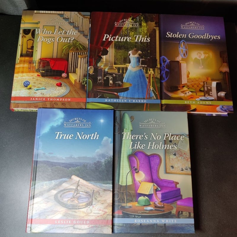 Lot of Secrets of Wayfarers Inn books 