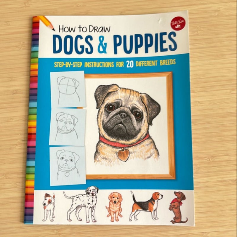 How to Draw Dogs and Puppies