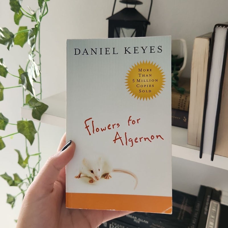 Flowers For Algernon Quotes And Pages Best Flower Site