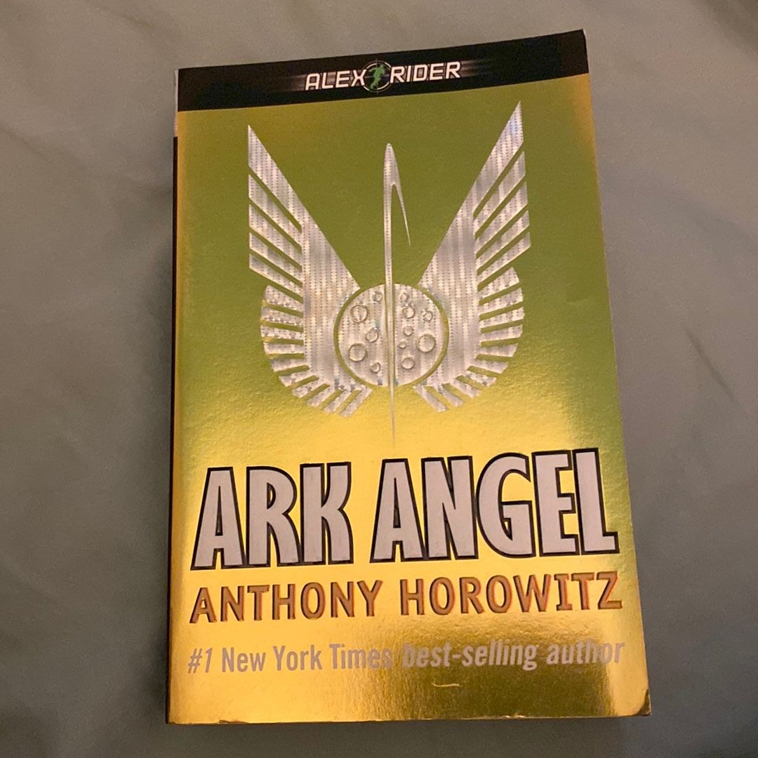 Ark Angel