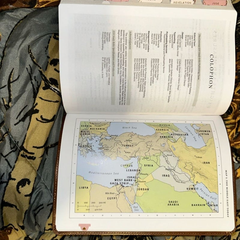 Hosanna Revival - ESV Study Bible - Aurora Theme