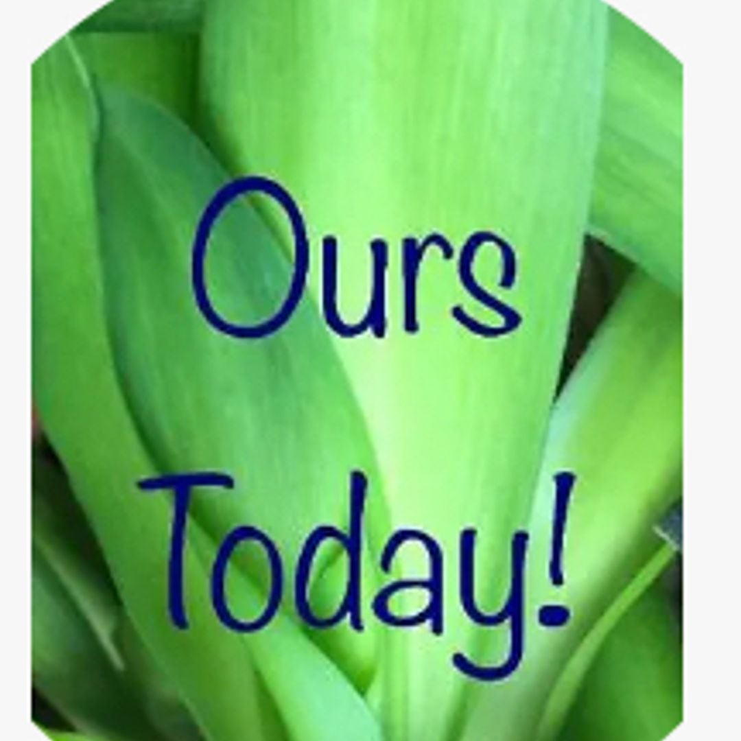 Ourstoday