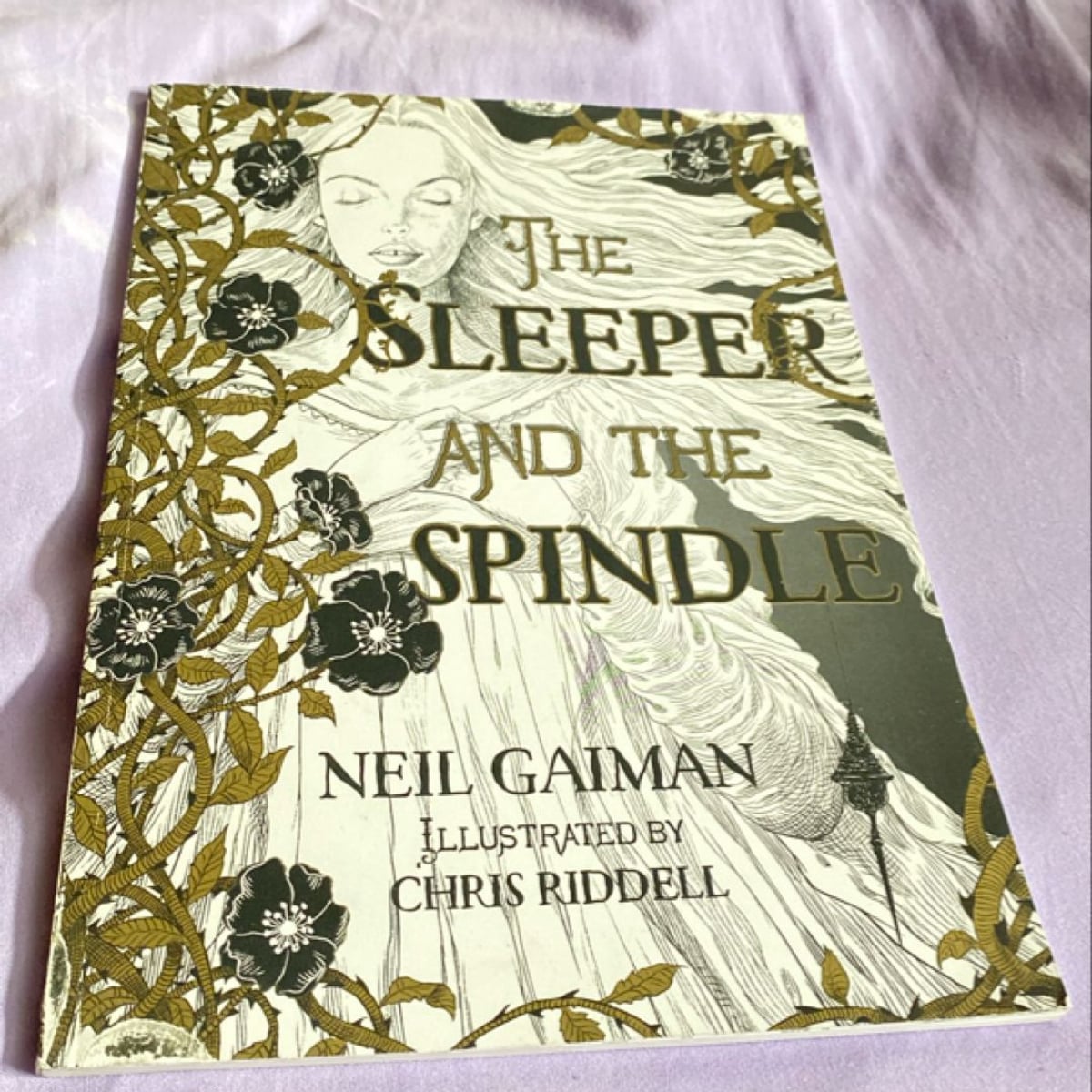 The Sleeper and the Spindle by Neil Gaiman