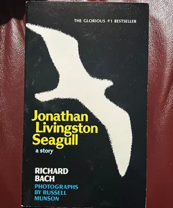Jonathan Living Seagull