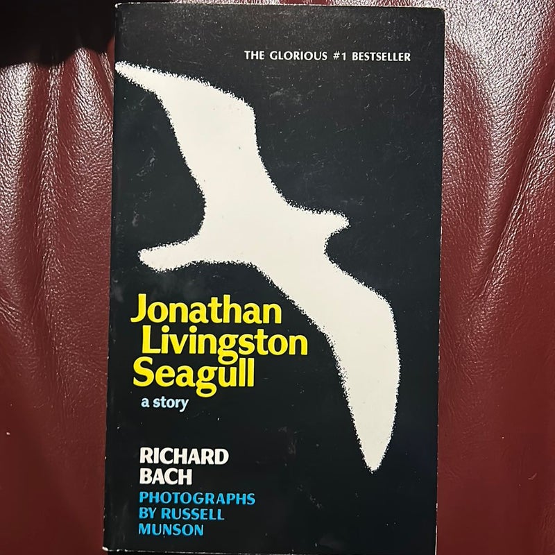 Jonathan Living Seagull
