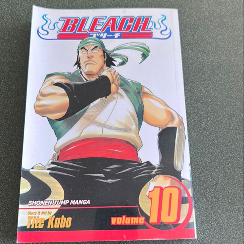 Bleach, Vol. 10