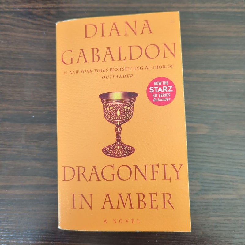 Dragonfly in Amber