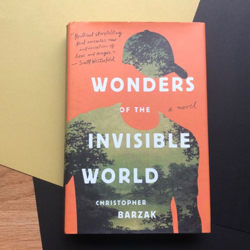 Wonders of the Invisible World