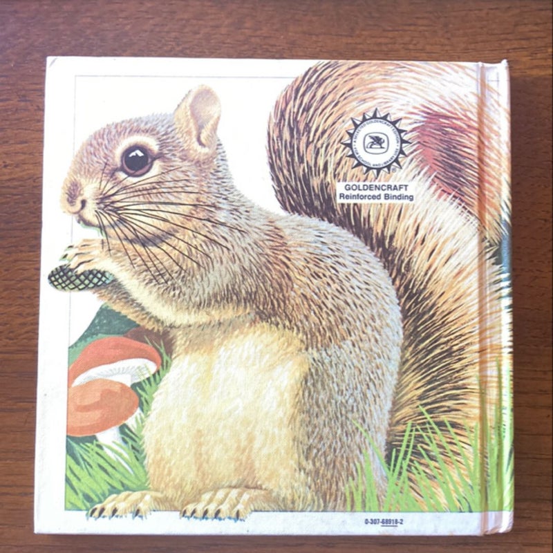 The Squirrel Book