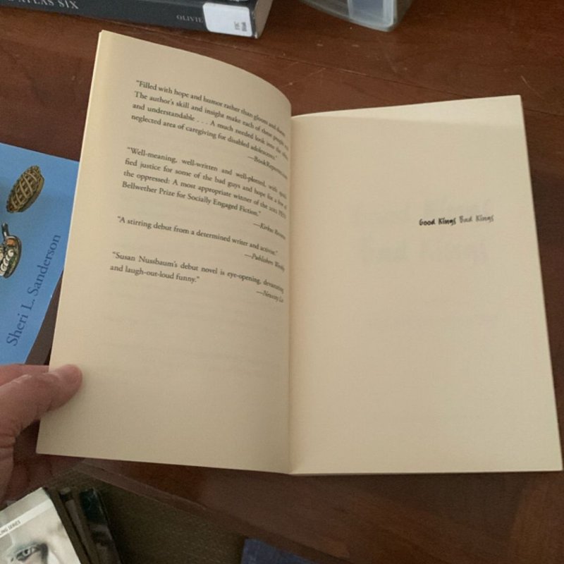 Good Kings Bad Kings