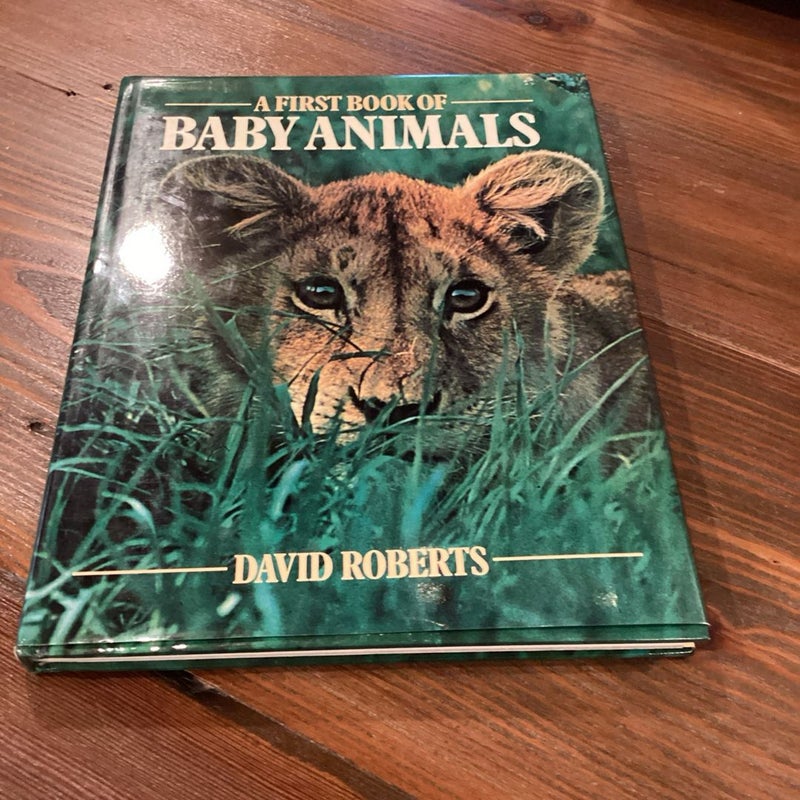 A First Book of Baby Animals 