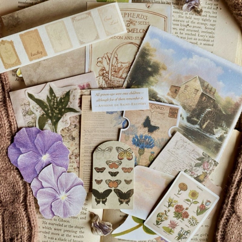 Beatrix Potter Nature Bundle