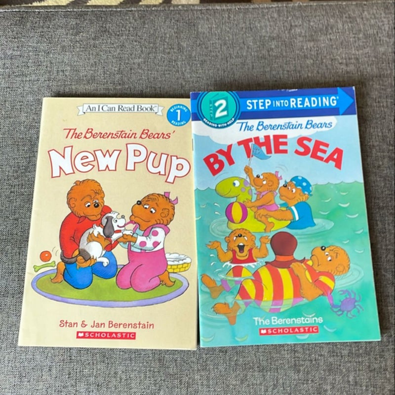 Berenstain Bears Level 1 and 2 Readers