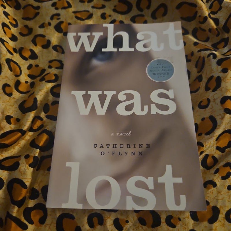 What Was Lost (1st US Edition)