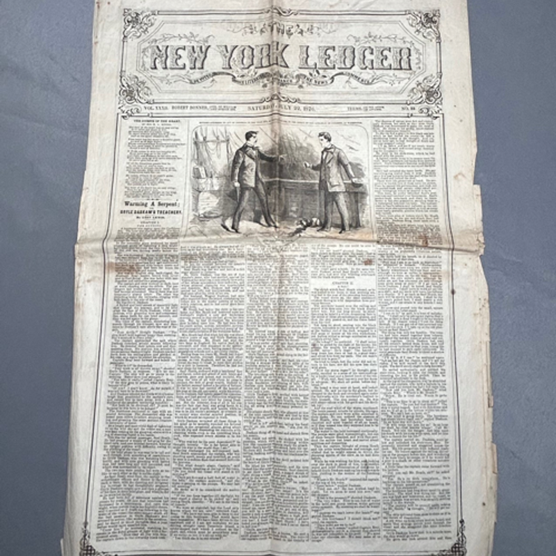 The New York Ledger 1876