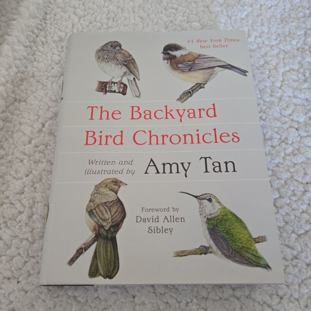 The Backyard Bird Chronicles