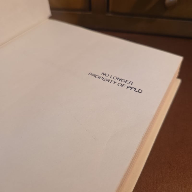 Fleishman Is in Trouble