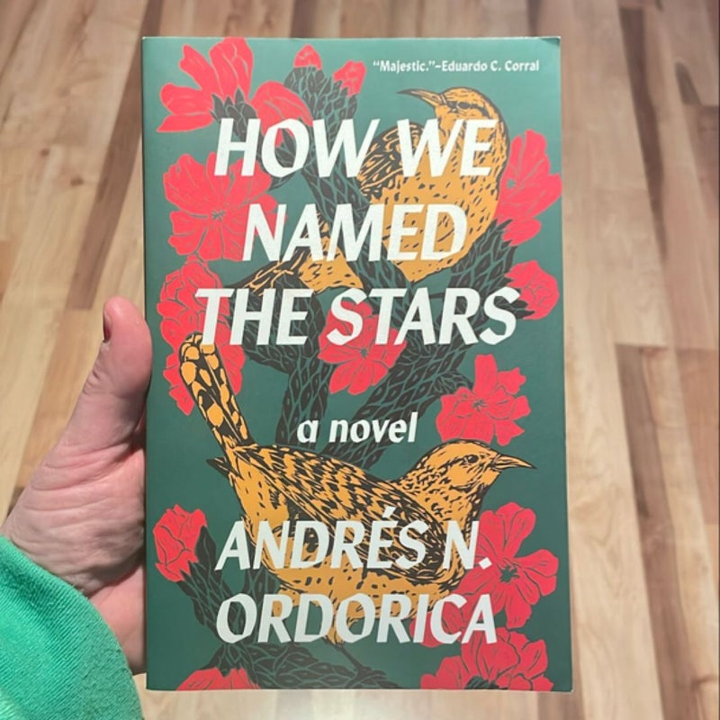 How We Named the Stars