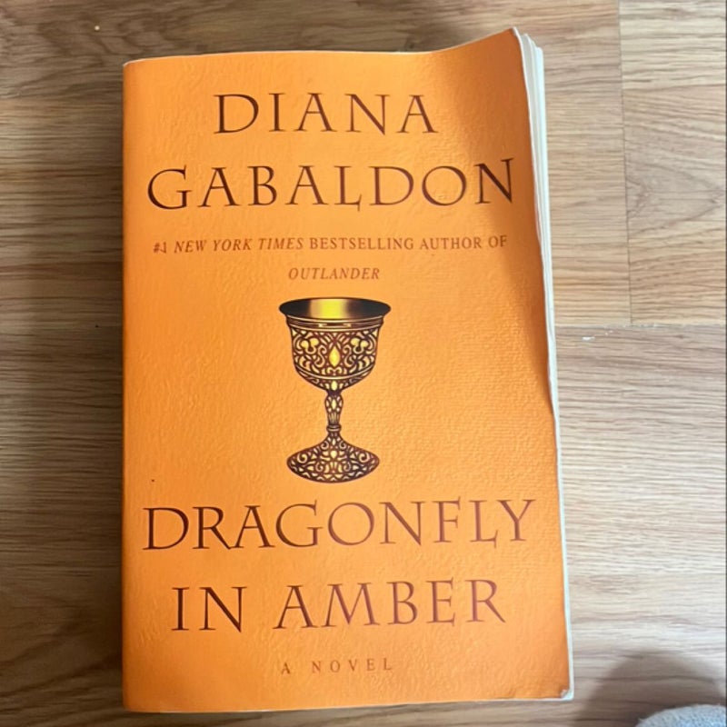 Dragonfly in Amber