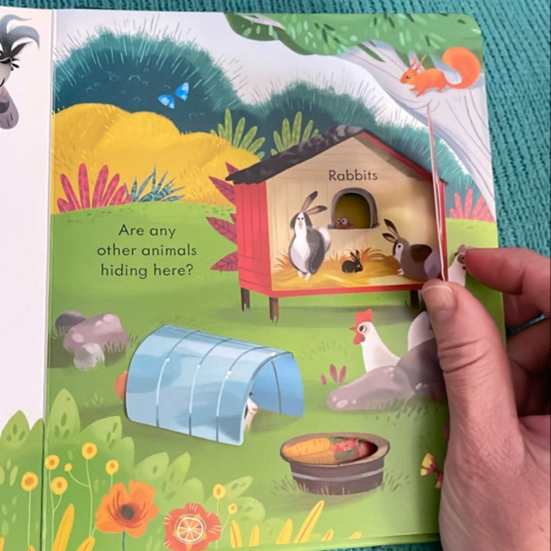 Usborne Peek Inside the Farm