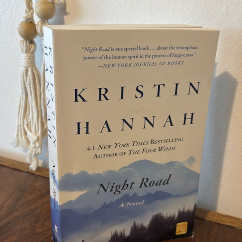 Kristin Hannah Book Bundle