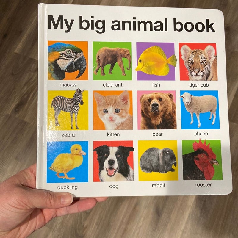 My Big Animal Book