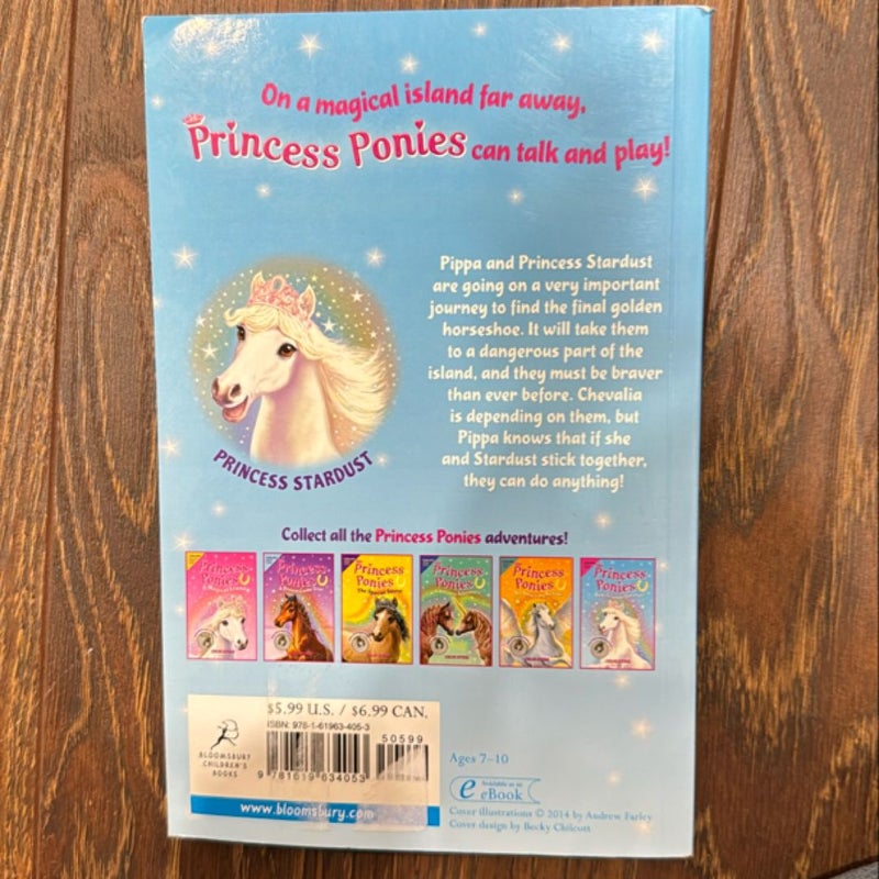 Princess Ponies 6: Best Friends Forever!