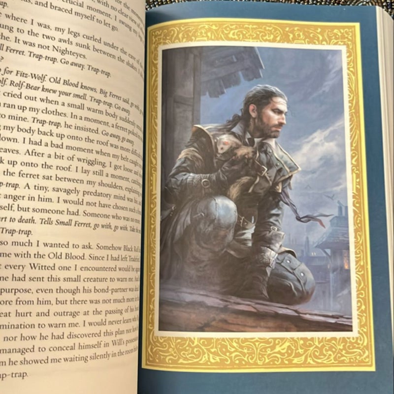 Assassin's Quest (the Illustrated Edition)