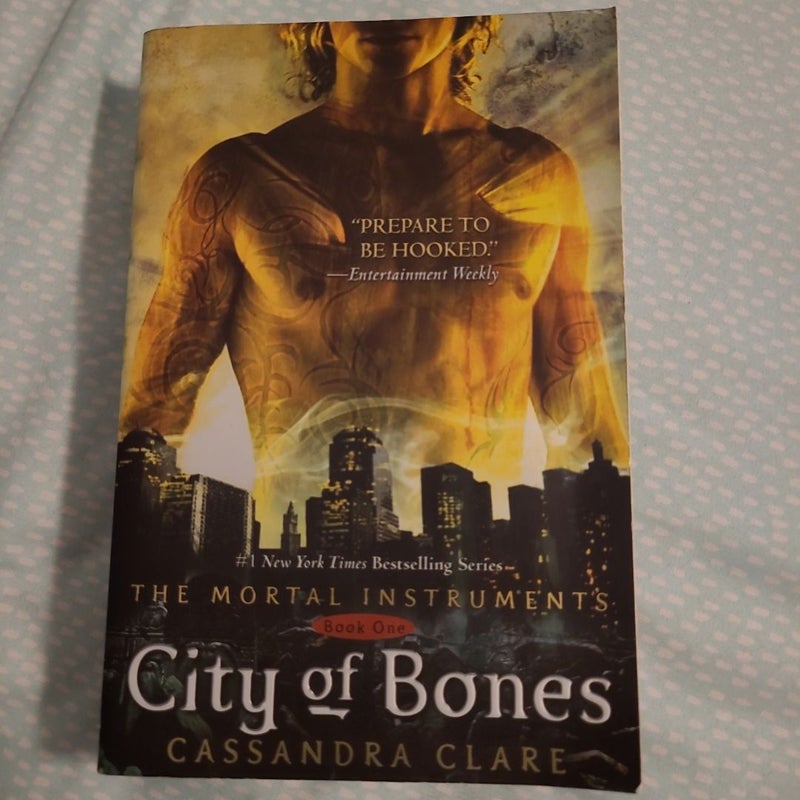 The Mortal Instruments Series