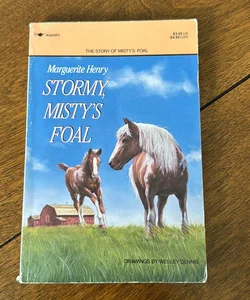 Stormy, Misty’s Foal
