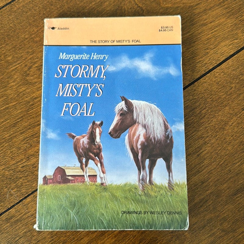 Stormy, Misty’s Foal