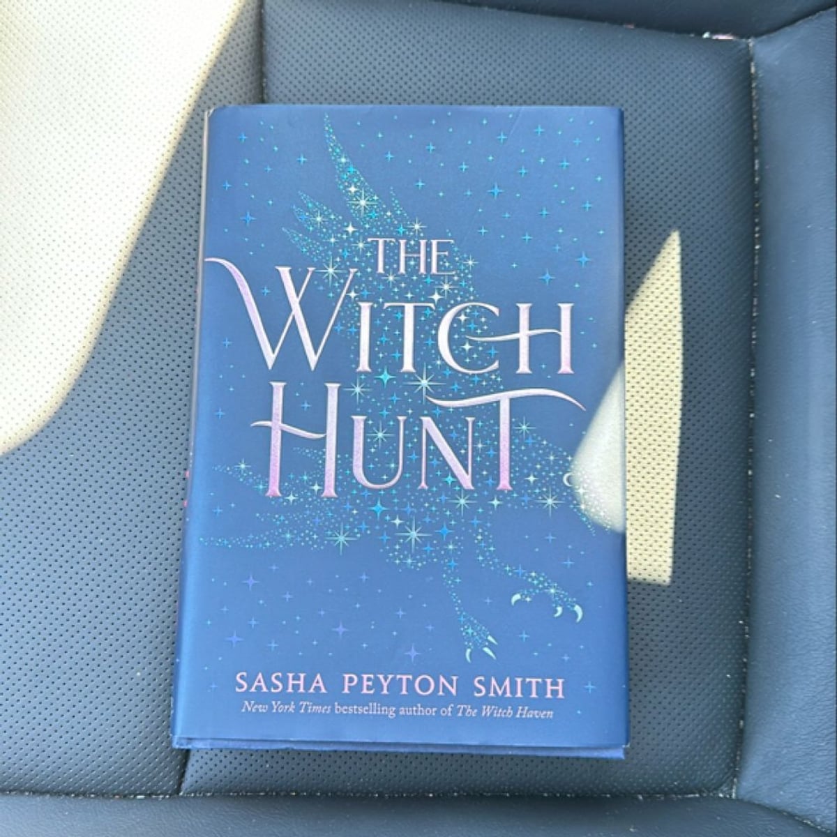 The Witch Hunt by Sasha Peyton Smith