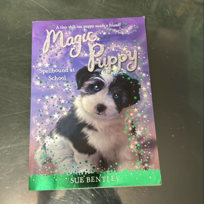 Magic Puppy