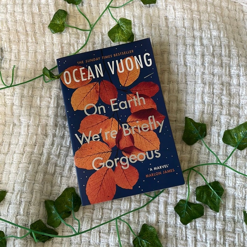 On Earth We're Briefly Gorgeous (UK COVER)