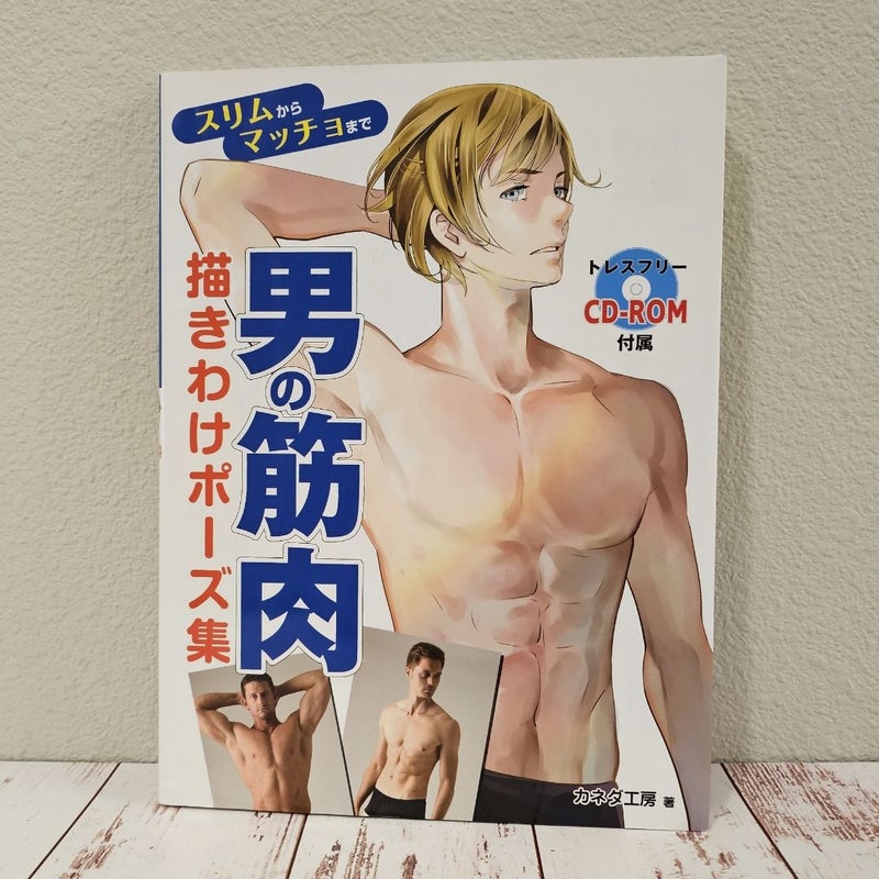 Poses for drawing Men's Muscles - from slim to macho