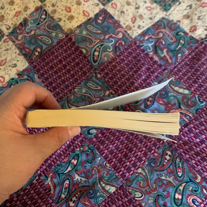 The Year of Pleasures