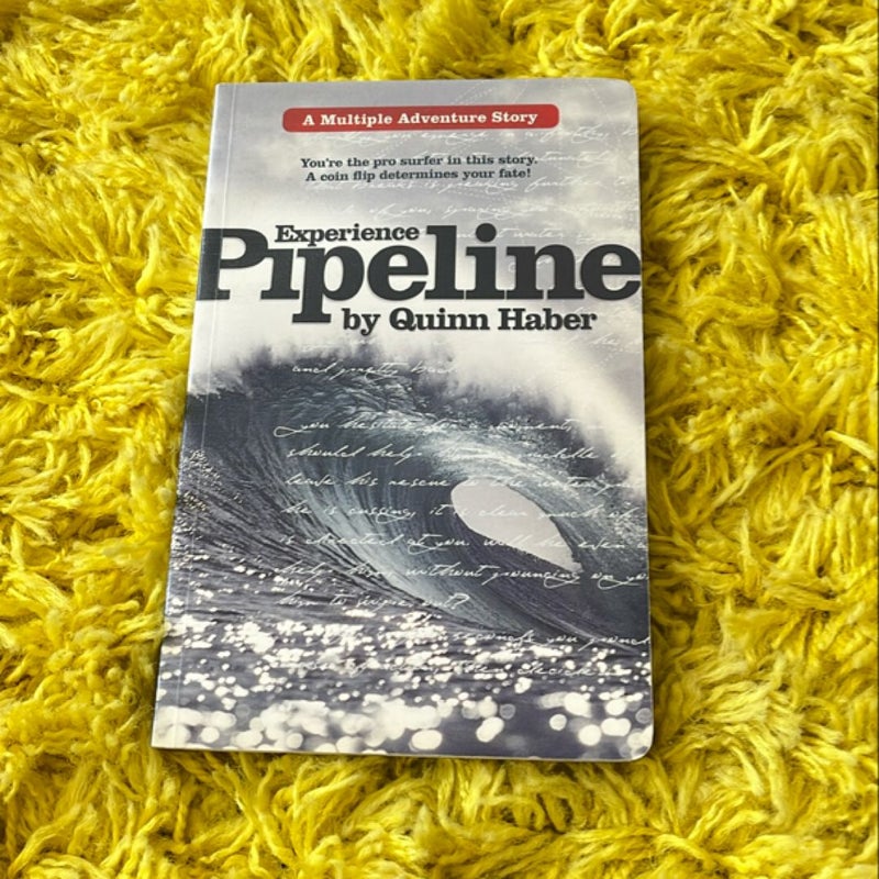 Experience Pipeline